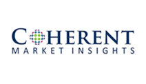 Insights Partner